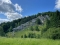 shared image (16)